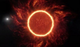 太阳视频,捕捉光影瞬间，展现生活百态